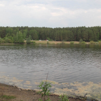 На Шиловском водоеме 11 июля утонул молодой человек