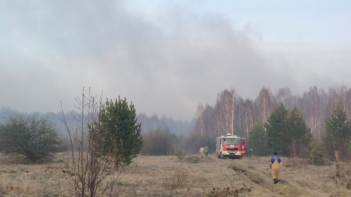 Торфяной пожар в Безречном. Фото Евгения Писцова