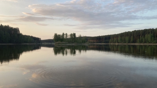 Жарить нужно дома: леса Свердловской области проверят патрули