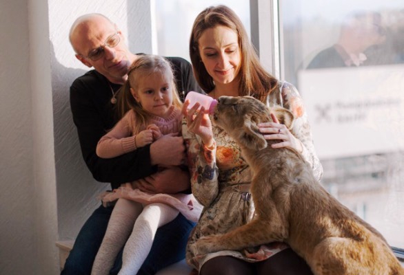 Муж Алексей, дочка Алиса и Ксения в Екатеринбурге на фотосессии с львицей