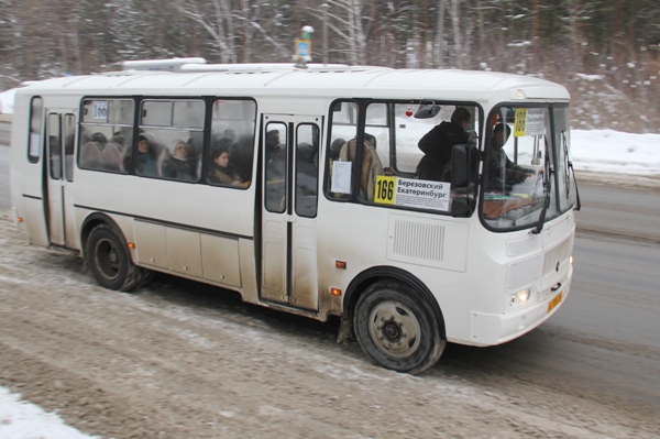 По отзывам, закупленные берёзовскими перевозчиками автобусы марки ПАЗ не так комфортны при движении, как «Богданы», зато в них теплее и больше сидячих мест