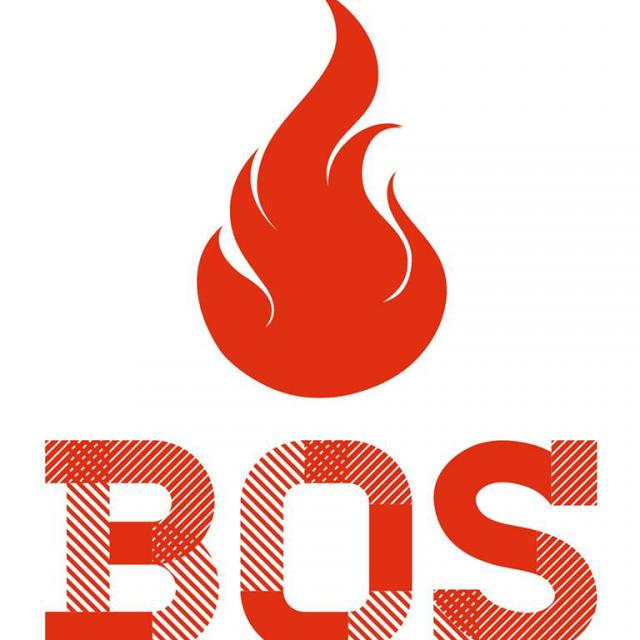 Компания Бос, Огнезащитные материалы